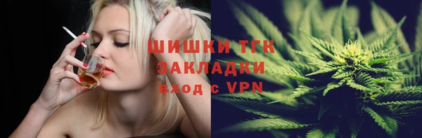 твердый Алзамай