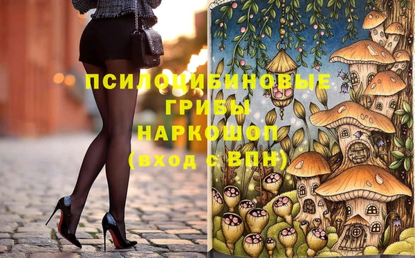 твердый Алзамай
