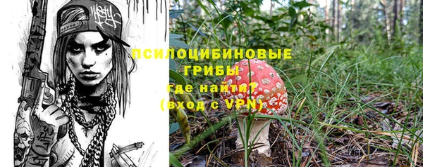 твердый Алзамай