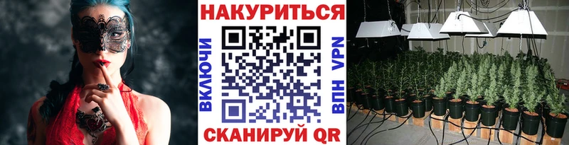 что такое наркотик  Анапа  Каннабис конопля 
